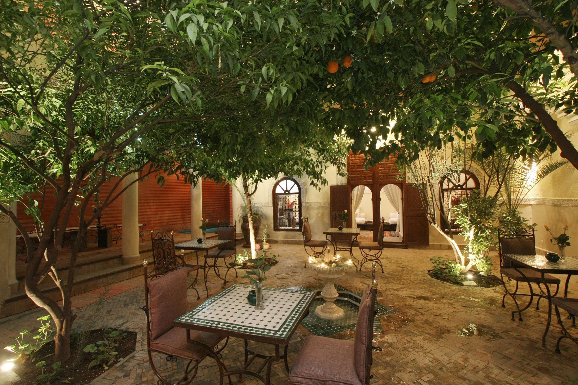 Riad Sidi Ayoub