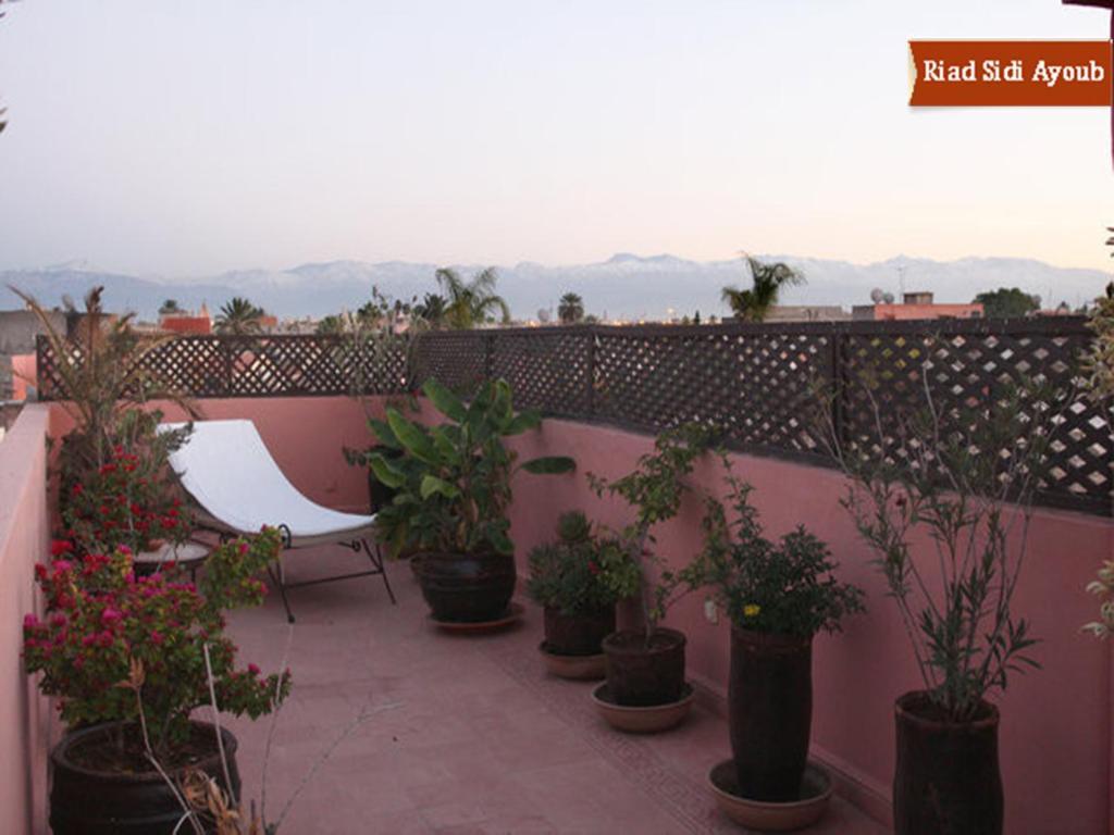 Riad Sidi Ayoub