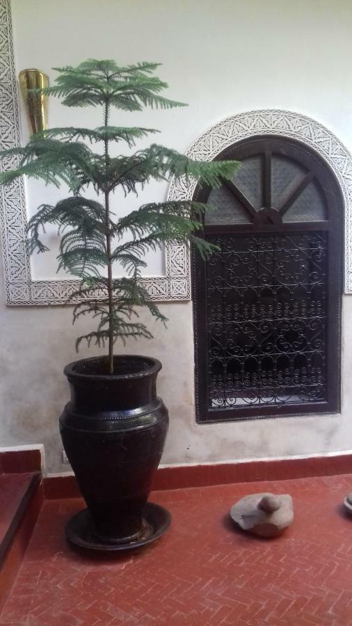 Sidi Ayoub Riad 4*